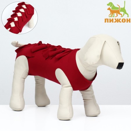 Popon postoperative, size M (OG 31-43 cm, weight 6-12 kg), Bordeaux