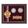 Panel Souvenir "In honor of recognition and respect" with coins