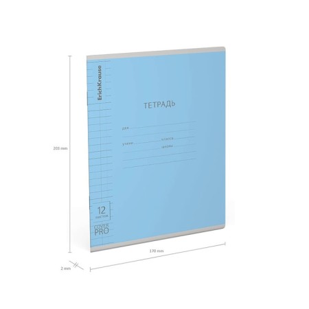Notebook 12 sheets in the large cage of Erichkrause "Coverpro Classics", with a plastic cover, 5V, mix-9
