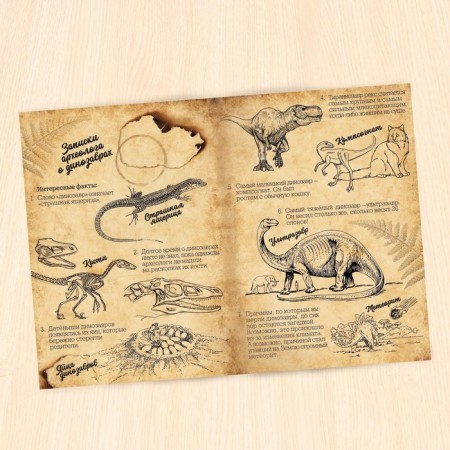 The training set "Era of dinosaurs", animals and poster, according to the Montessori method, for children-2