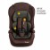 Car Carec reset Zlatek ZL513 Lux, group 1/2/3 (9-36 kg), brown carbon
