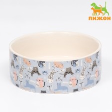Ceramic bowl 
