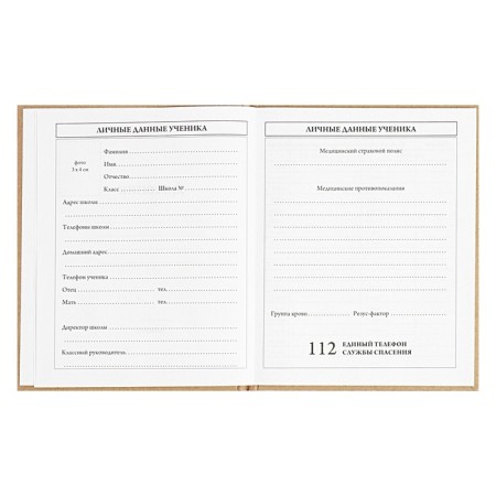 Universal Diary 5-11 classes, 48 ​​sheets "Anime Eye", solid cover, softTouch, foil embossing, block 65g/m2-4