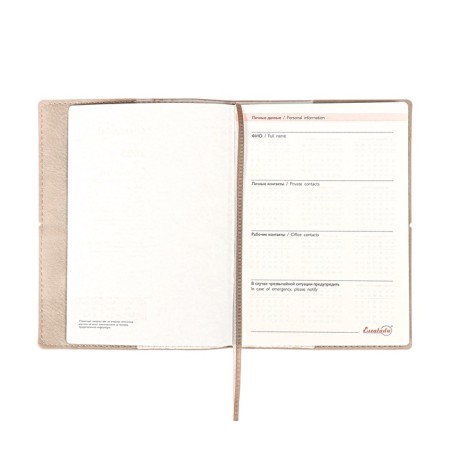 Diary DATIR 2025 A6+ 176l Escalada, Soft Okvl, Single Leather, TIS F, KR BL 70g/M2, Beige-11