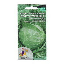 BeloCOCHANE CAPSEN CAPE 