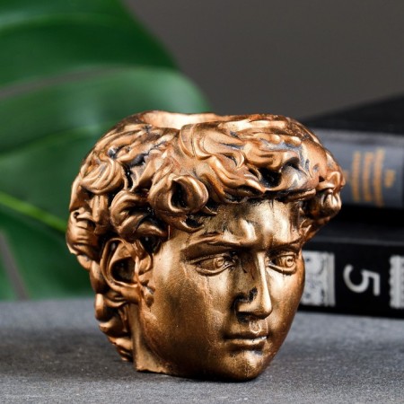 Kashpo - organizer "Head of David" Bronze, 9x9x9cm