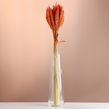 A set of dried flowers 