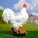 Garden figure "Rooster" White, 20x44x56cm