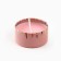 New Year. New Year's candle in the Iron Bank "Snake" Aroma Vanil, 4.8 cm