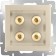 Acoustic socket WL11-AUDIOX4, Shampan