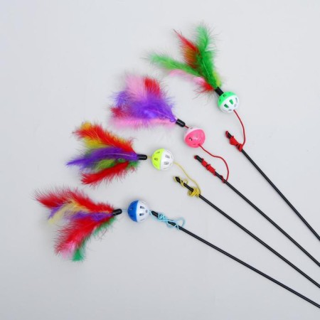 Domesticon with a plastic ball and feathers, a mix of flowers-2
