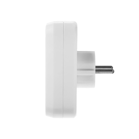 Smartbuy branch, 10 a, 250 b, 2 nests, without grounding, flat-1