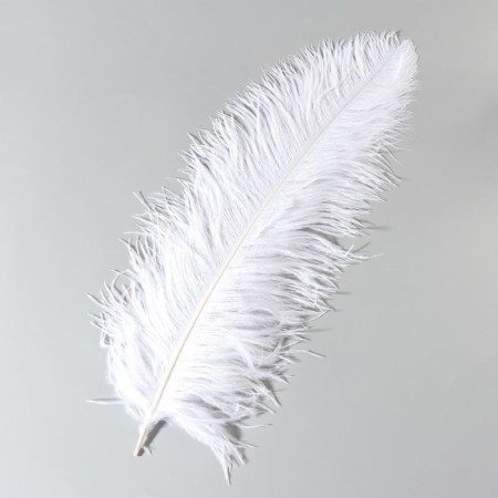 Perum Premium Feature 55-60 cm, white-1