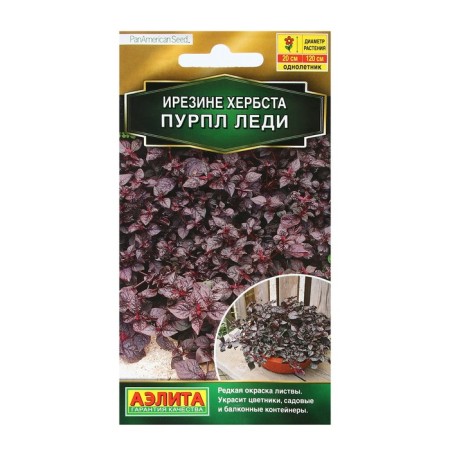 Flower seeds Irezin "Purple Lady", 5 pcs