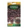 Flower seeds Irezin "Purple Lady", 5 pcs