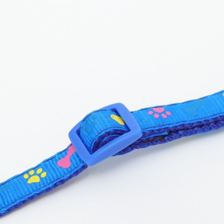 Two -layer collar with fastx "Multi -colored bones" 30 x 1 cm, blue-6