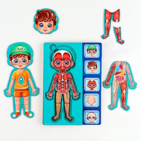 The training set "Human Body", a frame-laying frame and a book with stickers-6