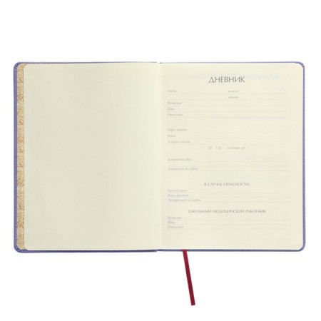 Universal diary for grades 1-11, 48 sheets, My Sweet. Donuts, covering artificial leather, lies, tinted block-3