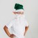 New Year's carnival set "Gnomik" beard, cap, ears, for the New Year