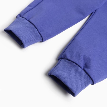 Kit for children (sweatshirt, trousers), lilac color, height 98 cm-7