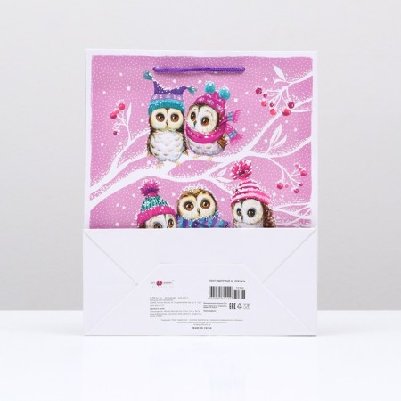 Gift package "Tender owls", 26 x 32 x 12 cm-1
