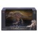 Dinosaurian figure "The world of dinosaurs: acroctosaurus"