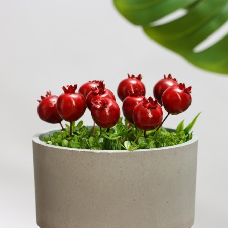 Set of plugs "Pomegranate" 10pcs, 4x3cm-2