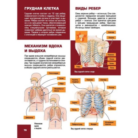 Large children's 4D Encyclopedia with augmented reality-4