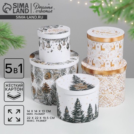A set of gift boxes 5 in 1 “white gold”, 13 x 14–19.5 x 22 cm, New Year