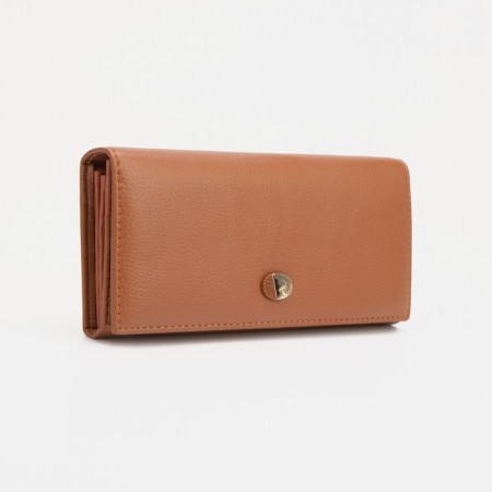 Women's wallet on magnets, brown color