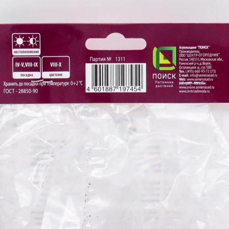 Sedum "Visible Karl", 1 pc, rr I, spring 2025-1
