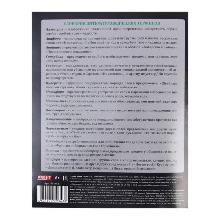 Notebook 48 sheets in the Error line "for essays", cover coated paper, block offset-4