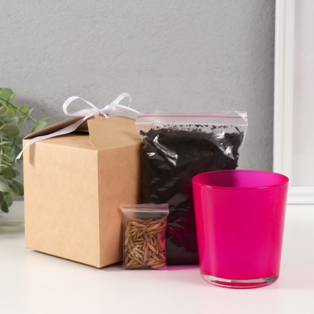 Set for growing plants "grow grass" pink-4