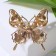 Book "Butterfly" bead, colored in gold