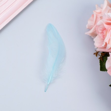 Filler of feathers for balls and gifts, mint, 10-12 cm 8 g
