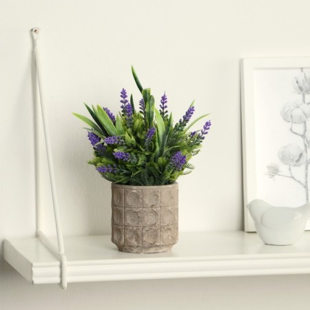 Bonsai in the Lavender Lux pot 8.5x17 cm, mix