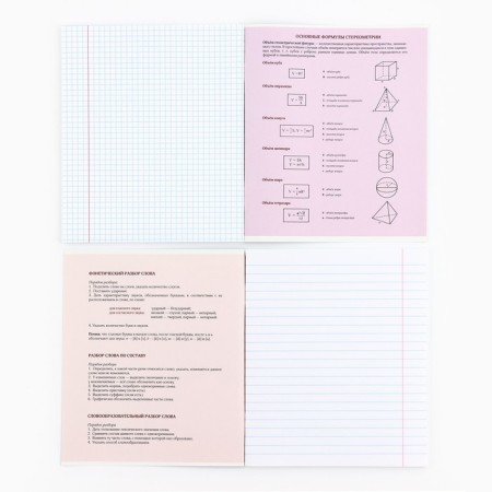 A set of notebooks of 36 sheets, 10 objects, internal block No. 1 “September 1: anime. Neon"-2