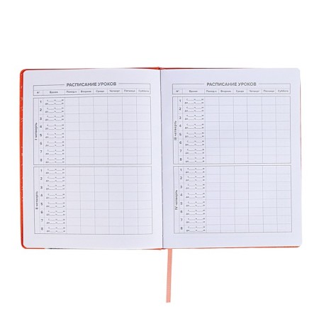 School diary for grades 1-11, "cat", firm covering with foam, artificial leather, lacing, liesse, universal cheat sheet, 48 sheets, block 80g/m2-6