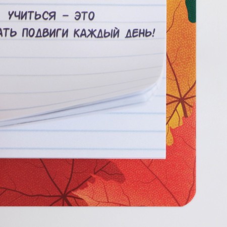 Blocks of paper with tear -off sheets, 3 pcs. 30 sheets, "beloved teacher"-4