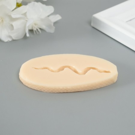 Mold Silicon "Snake" 0.3x6.5x1.3 cm-6