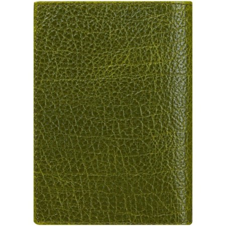 Cover for passport, green color-2