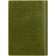 Cover for passport, green color