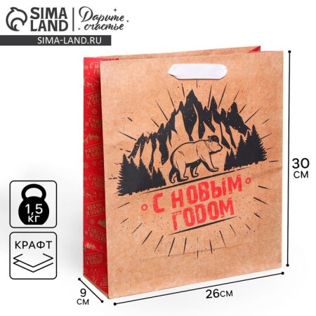 Craft vertical “Hard Winter” package, M 26 x 30 x 9 cm, New Year