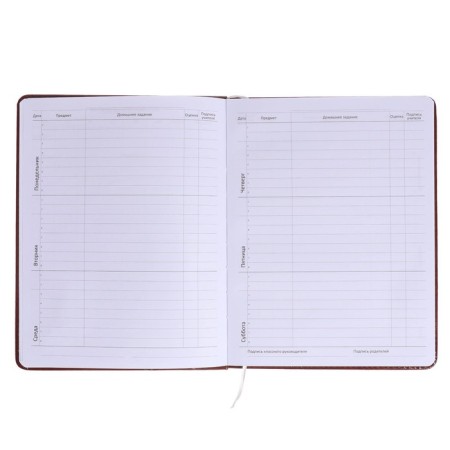 Universal diary for grade 1-11, solid cover, artificial leather, brown cover, liesse, 80 g/m2-6