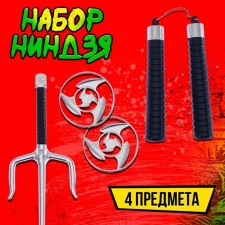 Ninja Ninja 