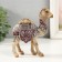 Polystone souvenir "Desert camel with a blanket" 11.7x4.7x13.5 cm