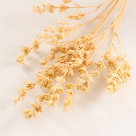 Set of dried flowers "chandra", banch length 40 (+/- 6 cm), bleached-2