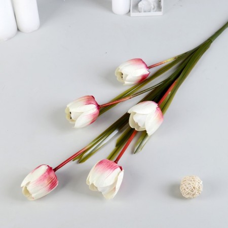 Artificial flowers "Empores Tulip" 4*90 cm, (the size of the bud 6x4cm) white with raspberry