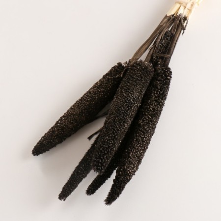 Set of dried flowers "African millet", banch 3-5 pcs, length 60 (+/- 6 cm), graphite-2