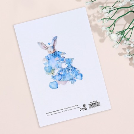 Folder for the birth certificate "Bunny" Blue Tone, A5-1